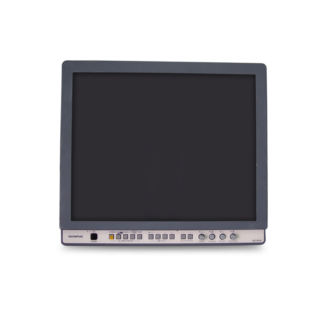 Olympus OEV191H Endoscopy Monitor