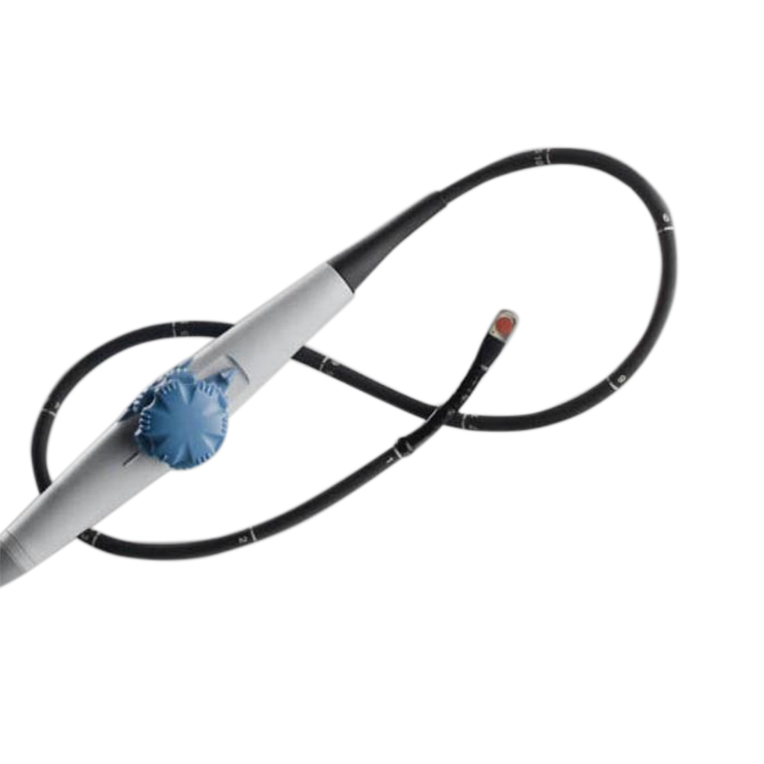SonoSite TEEx Ultrasound Probe